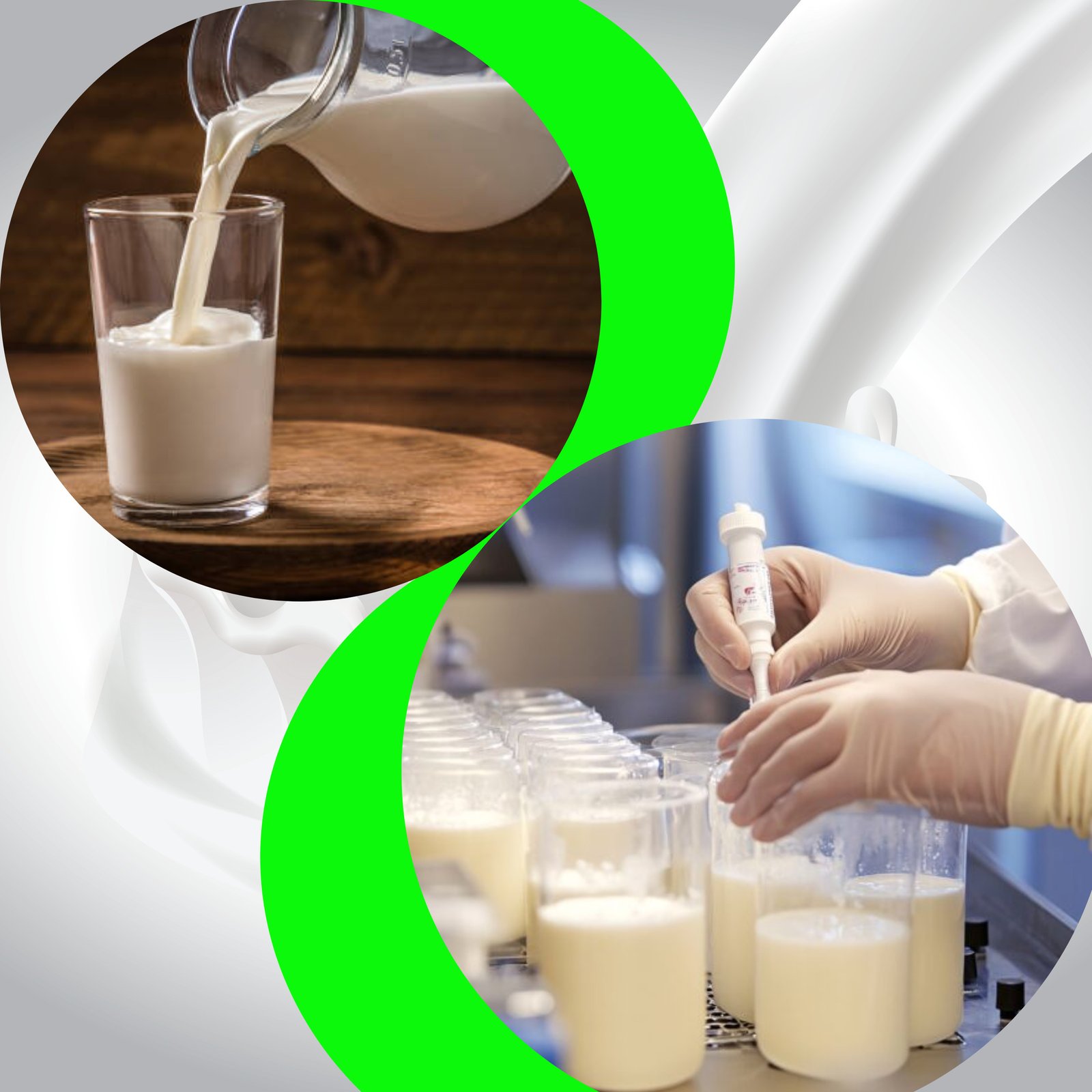 fresh raw milk tested at lab -field farmers